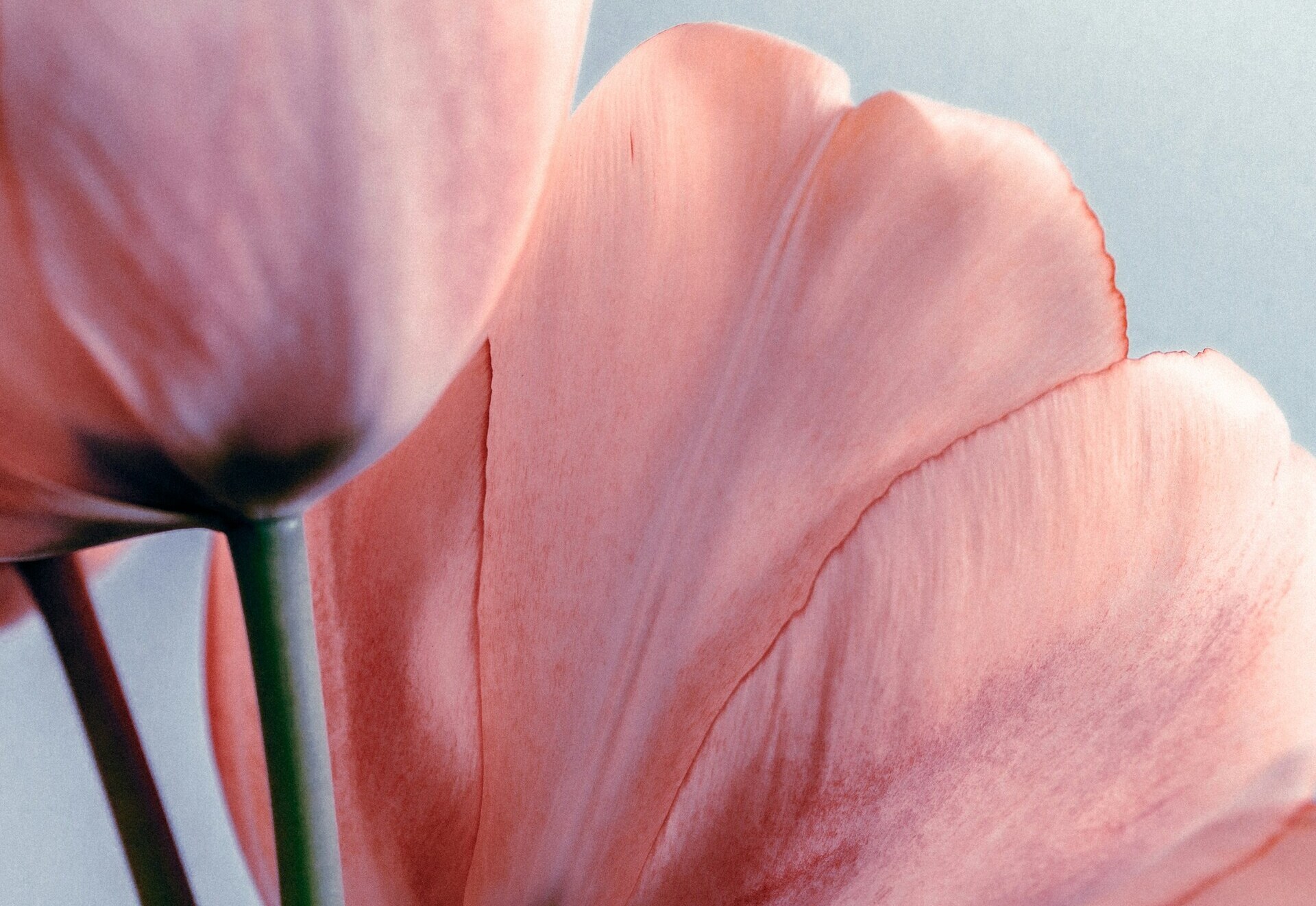 kier-in-sight-archives-BY6hNFJhNG4-unsplash (1) (1)